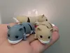 Hamster_AMS_Color