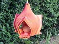 Bird Feeder