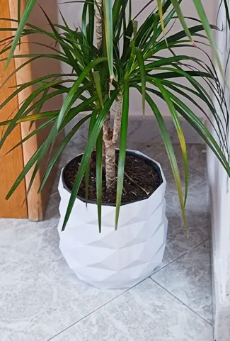 vaso per pianta grande