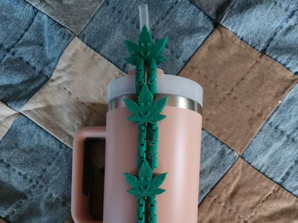 https://makerworld.bblmw.com/makerworld/model/USfc62a506208608/design/2025-02-02_10ce57d30969b.jpg