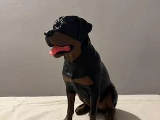 rottweiler dettagliato