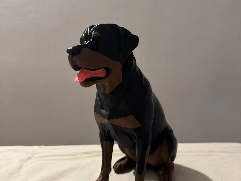 rottweiler dettagliato 