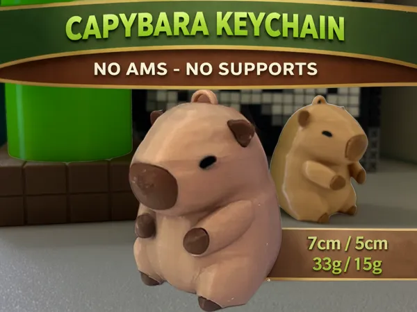 https://makerworld.bblmw.com/makerworld/model/USfc6452e8a57ad8/design/9bf0d770aceebb98.png
