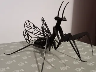 MANTIDE 3D PUZZLE