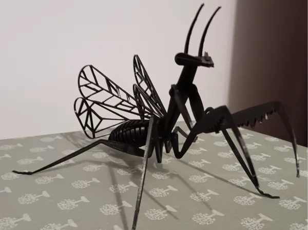 https://makerworld.bblmw.com/makerworld/model/USfc65516128d50f/design/2024-12-14_a11b30b7e63c7.jpg