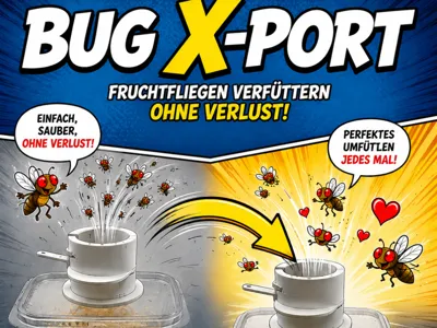 Bug X-Port