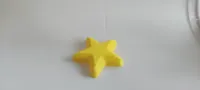 海星