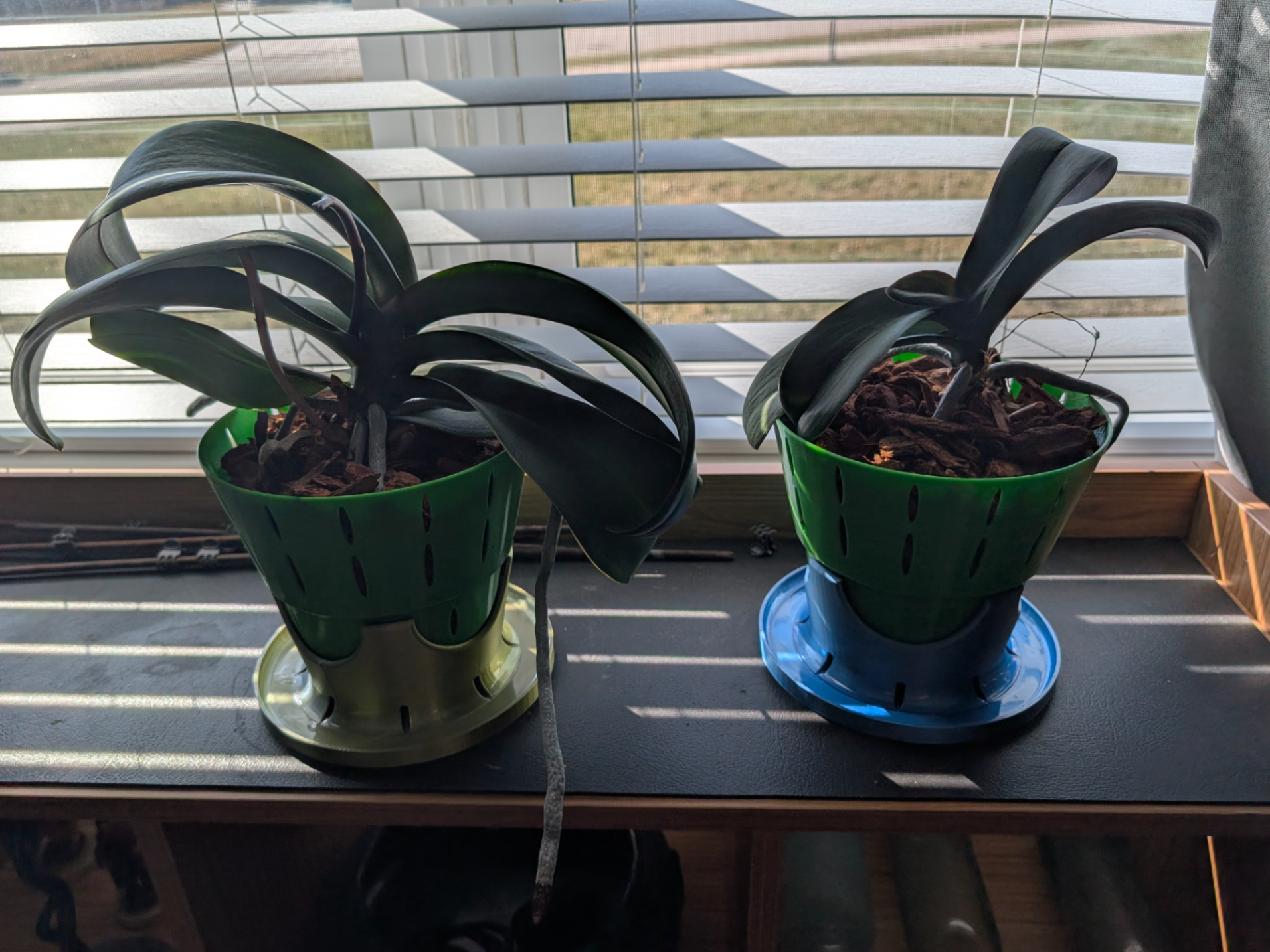 Large Orchid Pot - insert and base