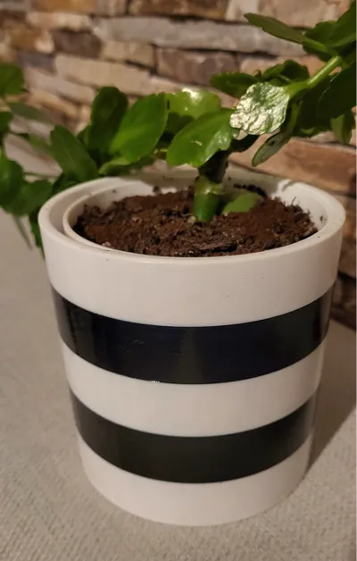 Flower Pot with Cover