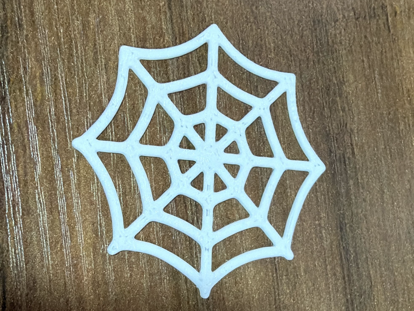 Spider Webb