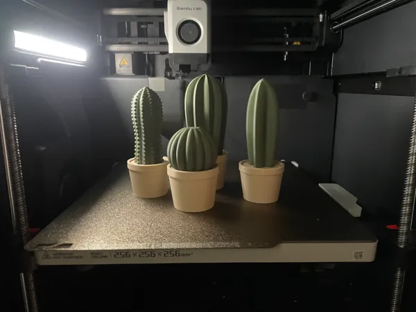 https://makerworld.bblmw.com/makerworld/model/USfc844a58ba8e9/design/2024-11-23_cc5a1e6554e1a.jpeg