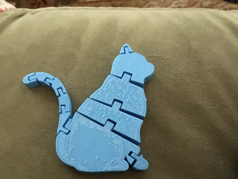 flexi cat