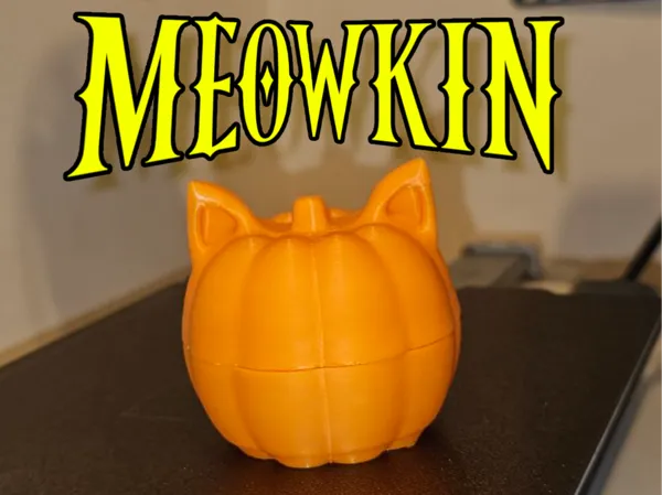 https://makerworld.bblmw.com/makerworld/model/USfc9248d60f484f/design/2024-08-30_a7856e190b49b.jpg