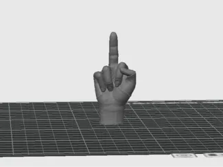 MiniFinger