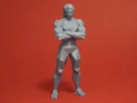 0.2mm layer, 2 walls, 15% infill