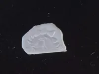 0.2mm 层高, 2 层墙, 10% 填充