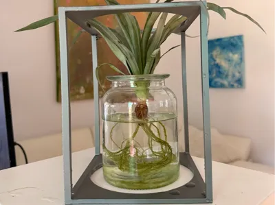 cage-style decoration stand