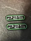 P2S Text - 0.16mm layer, 2 walls, 100% infill