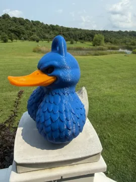 Modelo para impresión 3D: Duck NutZ — “Mallard‑mean and ready to quack back" — vista de referencia 5