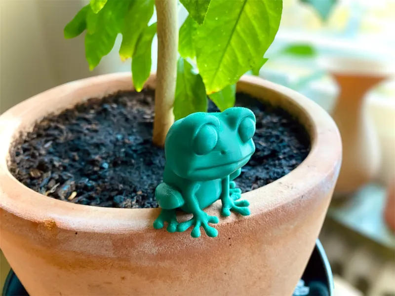 Sad Frog