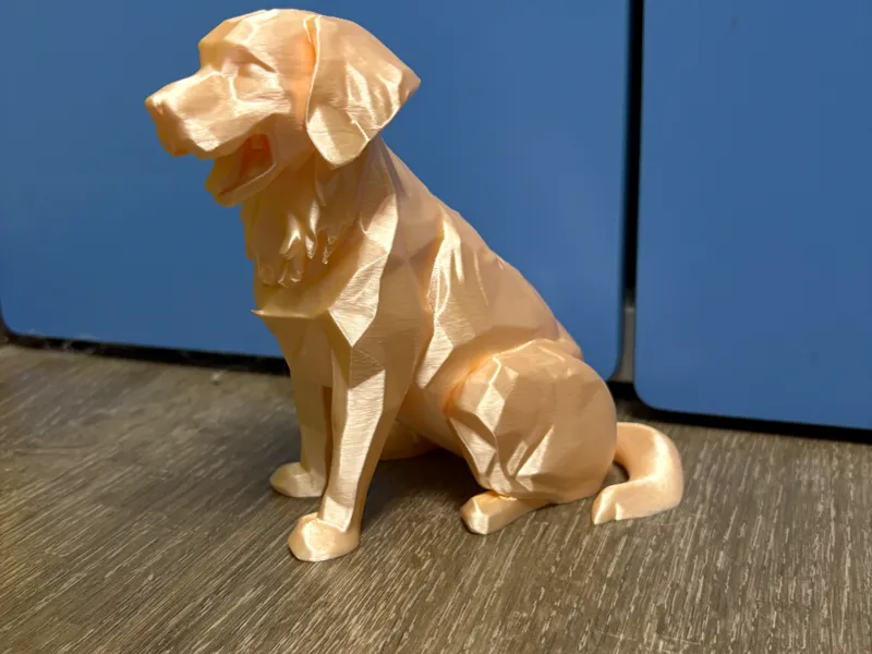 Golden retriever