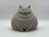 0.16mm layer, 2 walls, 10% infill