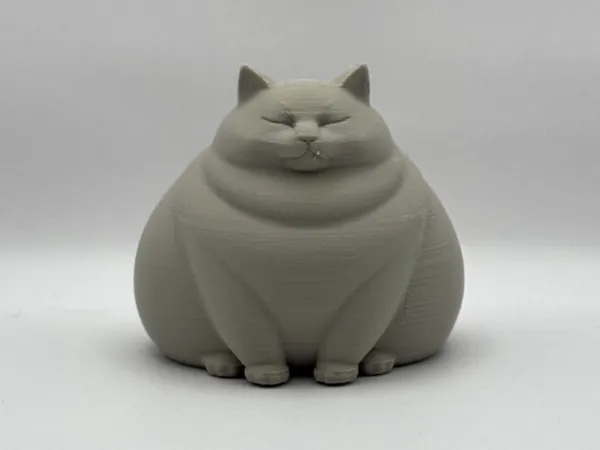 https://makerworld.bblmw.com/makerworld/model/USfcba343eddd975/design/777b8e55dad78a9b.jpeg