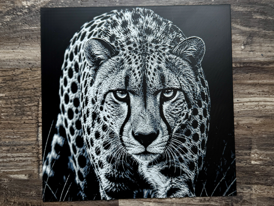 Cheetah Wildlife Series