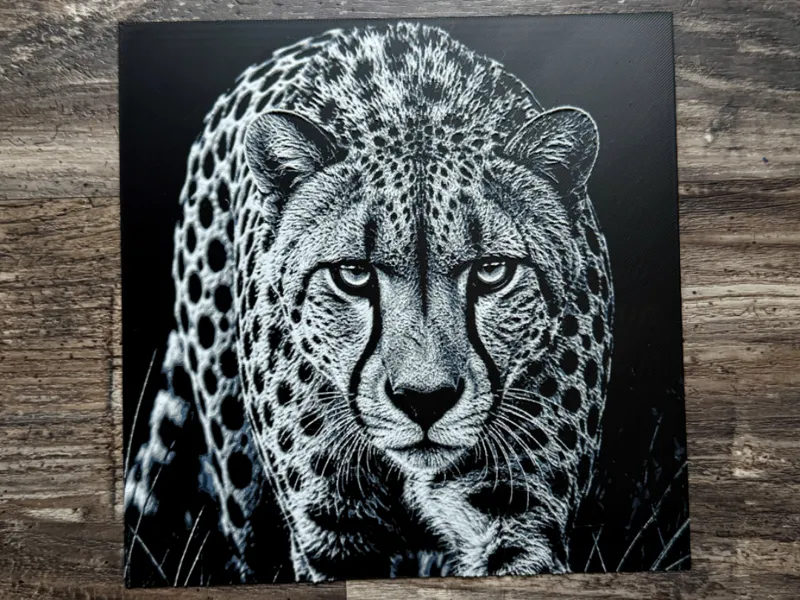 Cheetah Wildlife Series