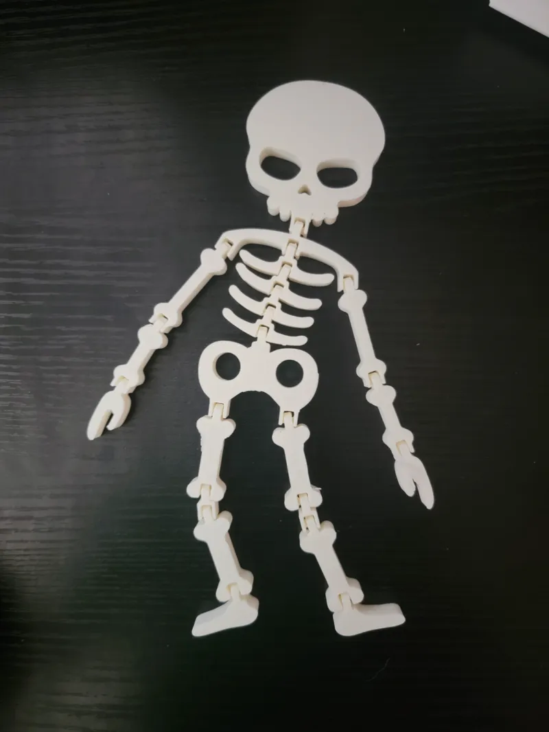 Flexi Halloween Skeleton Decoration / Toy