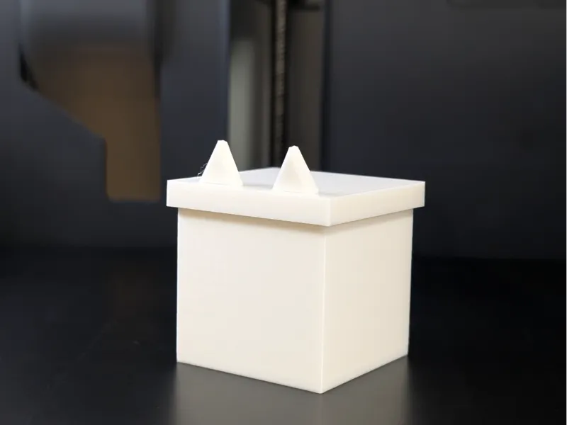 Gabby Dollhouse Surprise Box