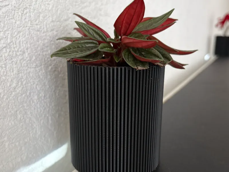 Juwelaquarium Pflanzen auf dem Aquarium