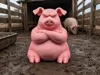 Grumpy Pig