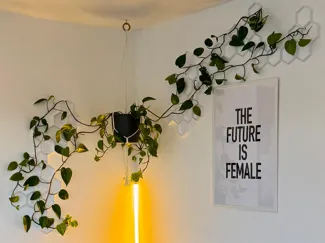 Modular Trellis & Wall-Mount System