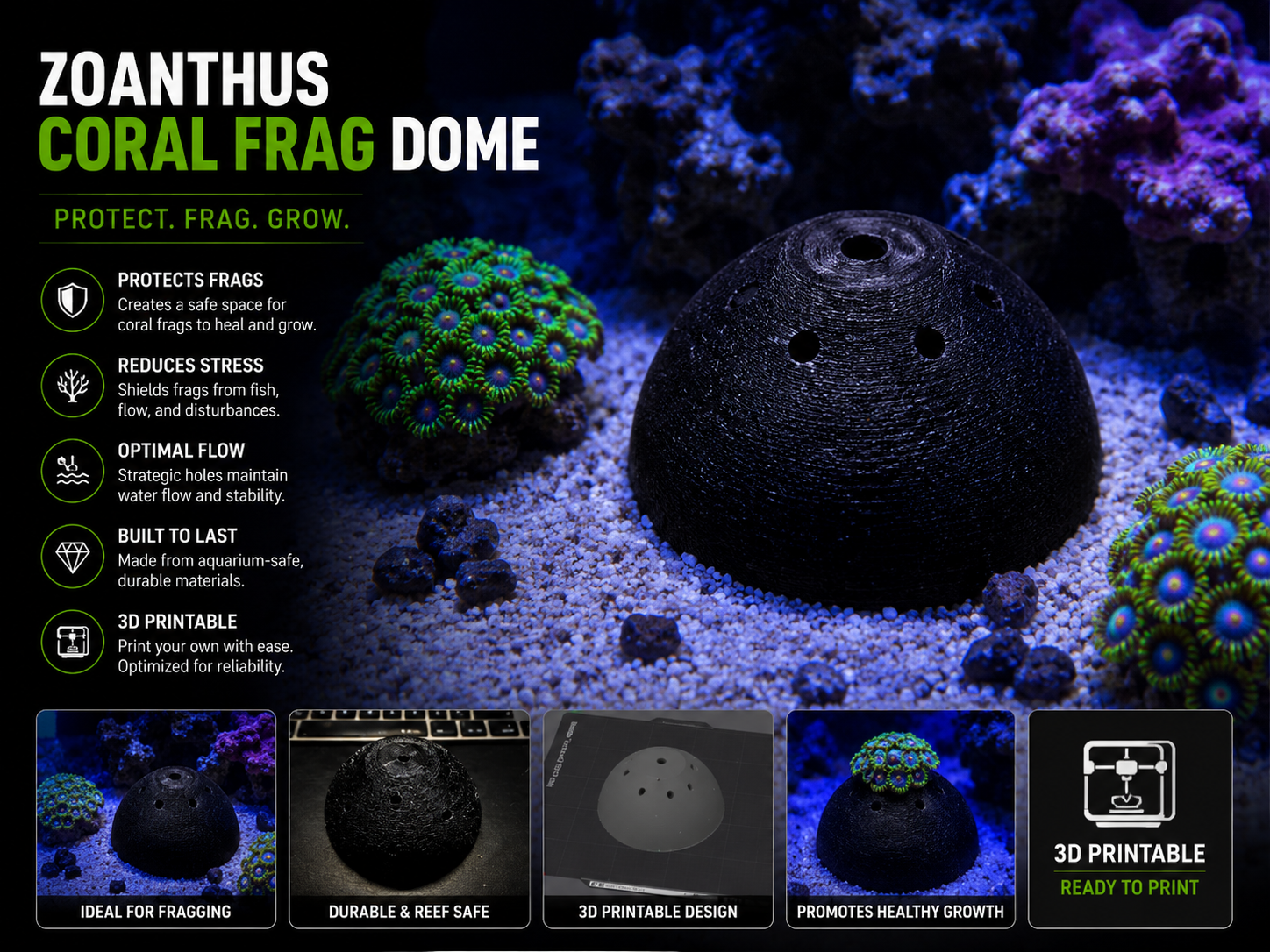 Zoanthus Coral Frag Dome