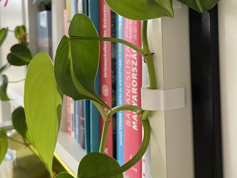 Kallax plant clip - fast & easy