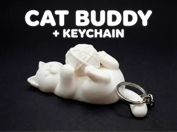 https://makerworld.bblmw.com/makerworld/model/USfccfe5b7aed8d5/design/ec55afc1fd05b14e.png