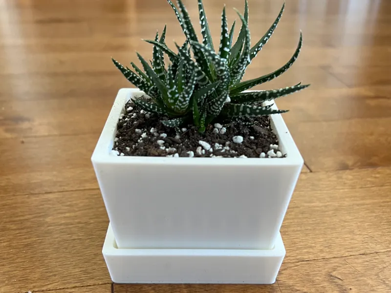 Simple Planter with Drain Tray