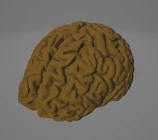 USBrain – For When You’ve Got a Lot on Your Mind