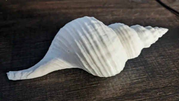 https://makerworld.bblmw.com/makerworld/model/USfcd7491f4a04bd/design/2024-04-30_e9cd795f09cce.jpg