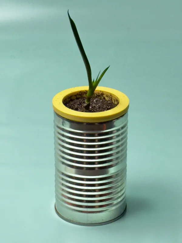 https://makerworld.bblmw.com/makerworld/model/USfcd7708899f091/design/2023-09-27_5d9f55802225a.jpeg