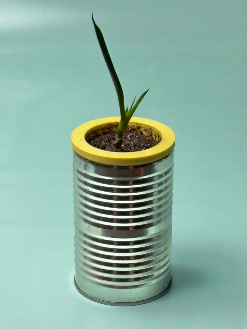 Self Watering Planter Can Insert