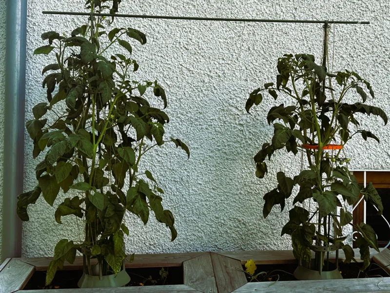 Modulares Pflanzenstützsystem