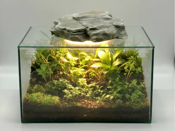 https://makerworld.bblmw.com/makerworld/model/USfcde5988e082e4/design/609afa36b32e59d4.jpg