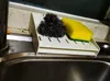0.2mm layer, 2 walls, 40% infill
