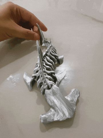 https://makerworld.bblmw.com/makerworld/model/USfce2bbc016b1c2/design/2025-07-30_76bad89e2e23a.gif