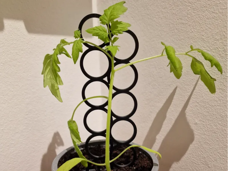 Plant holder circle