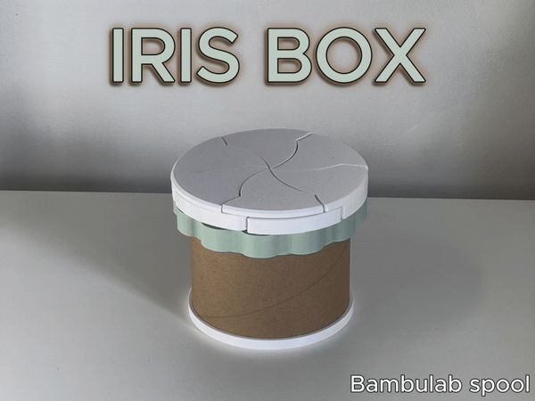 https://makerworld.bblmw.com/makerworld/model/USfcf67e6a9c8e36/design/2025-03-18_f9d1281839bf38.gif