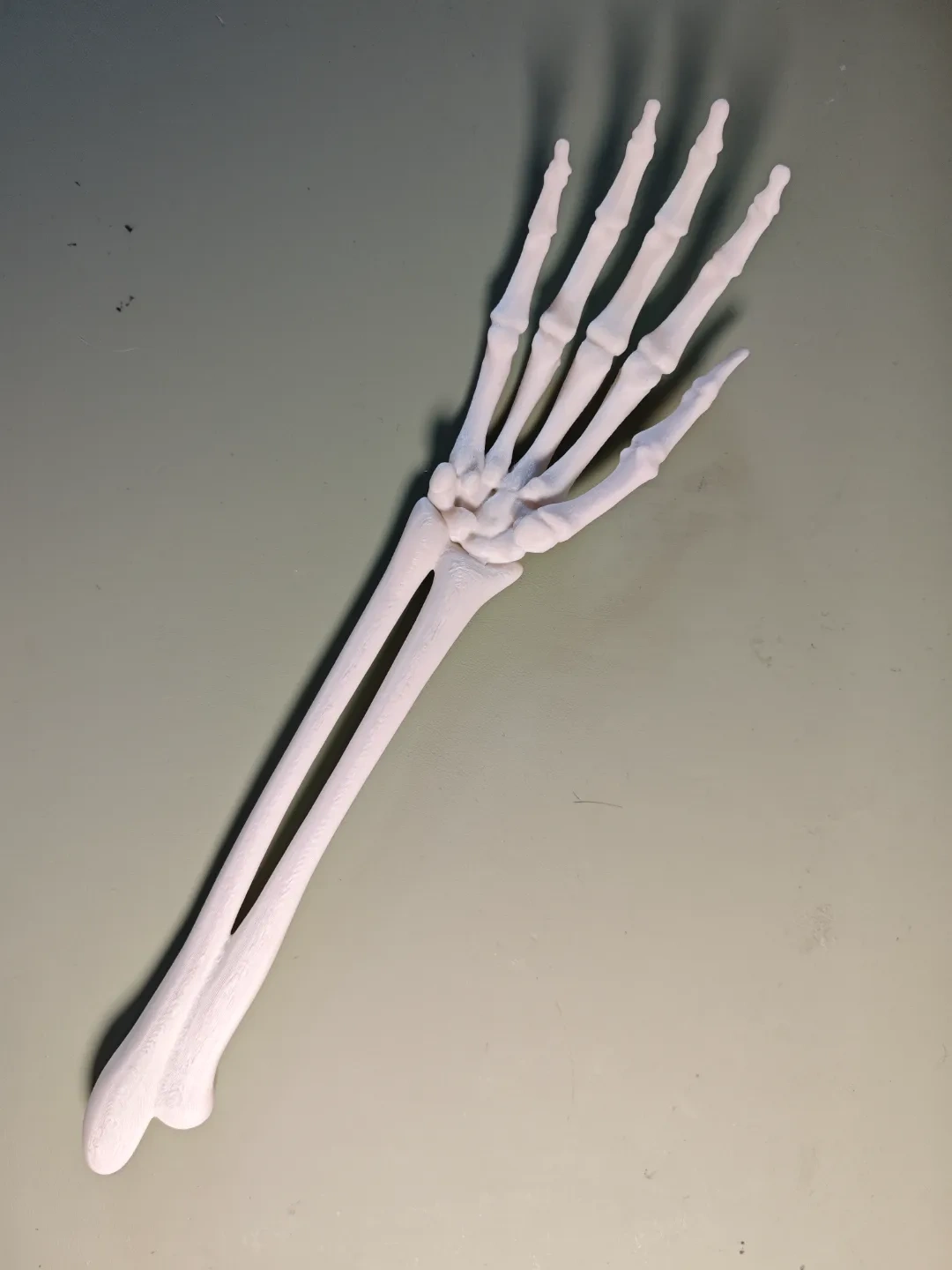 Miniatura 2 do modelo 3D 骨头痒痒挠