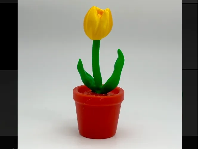 郁金香 1.9h、桌面摆件（高 12cm、14cm、17cm）